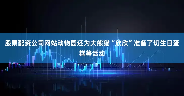 股票配资公司网站动物园还为大熊猫“欣欣”准备了切生日蛋糕等活动
