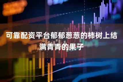 可靠配资平台郁郁葱葱的柿树上结满青青的果子