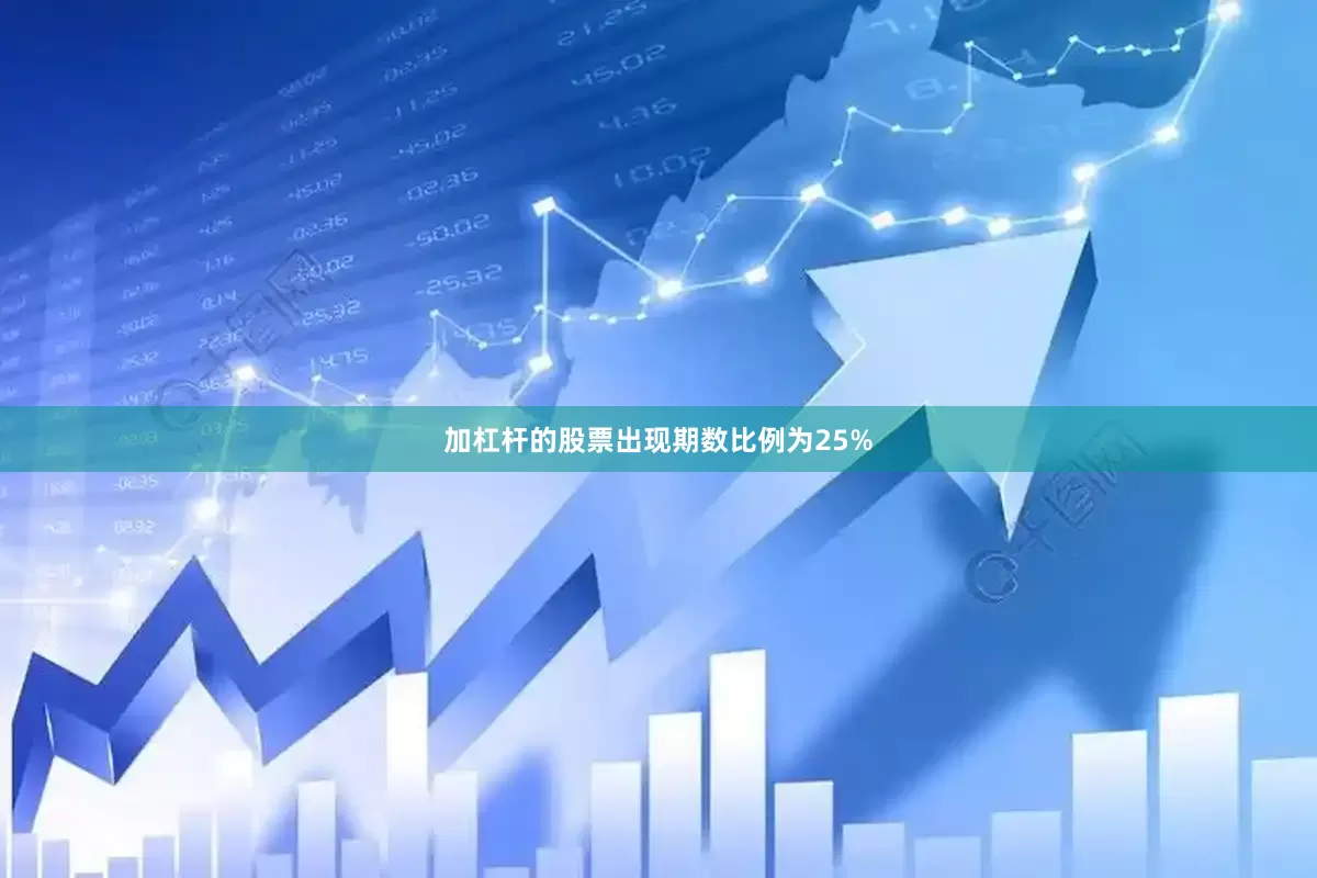 加杠杆的股票出现期数比例为25%