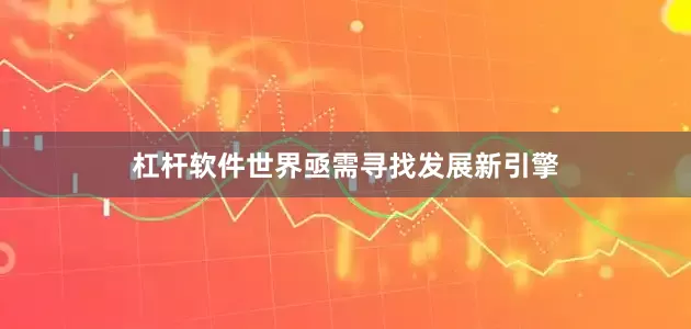 杠杆软件世界亟需寻找发展新引擎