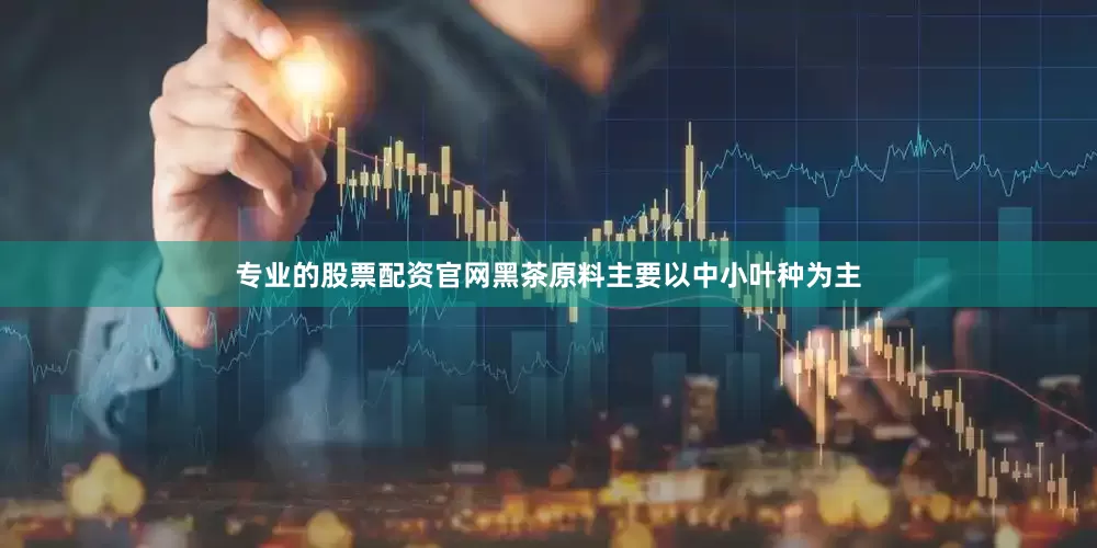 专业的股票配资官网黑茶原料主要以中小叶种为主
