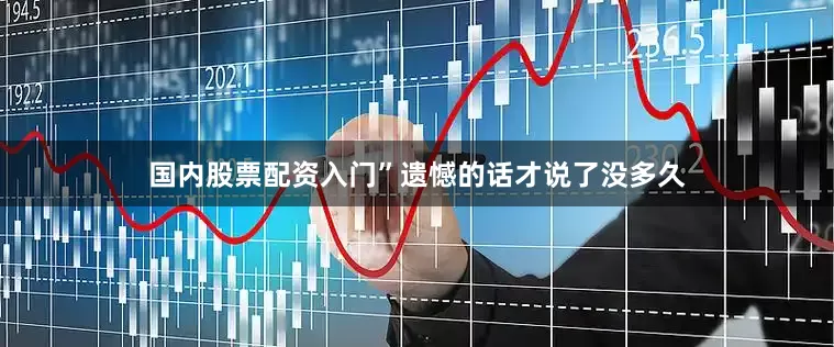 国内股票配资入门”遗憾的话才说了没多久