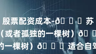 股票配资成本-📍苏州半月湾（或者孤独的一棵树）🚙适合自驾