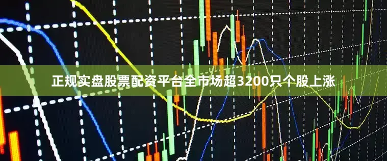 正规实盘股票配资平台全市场超3200只个股上涨