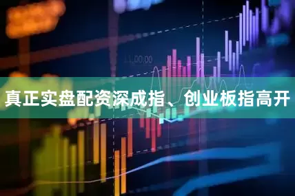 真正实盘配资深成指、创业板指高开